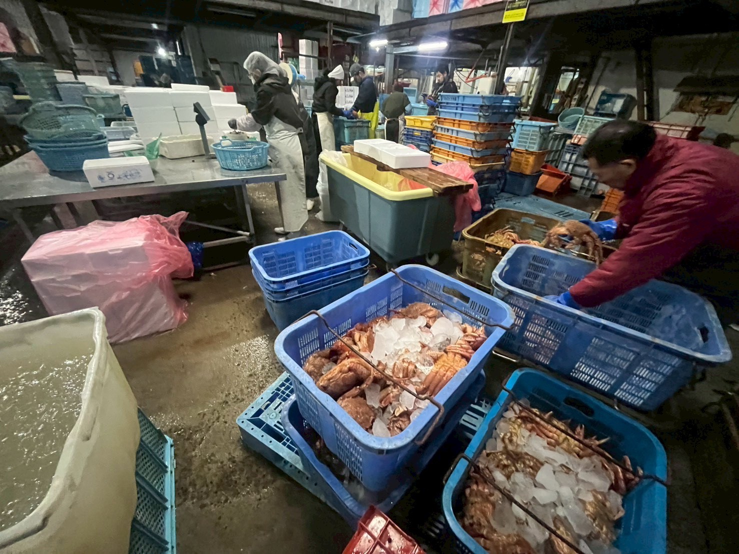 市場での水産加工作業